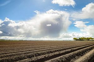 Aardappelveld patroon van aardappelruggen in het voorjaar van Sjoerd van der Wal Fotografie