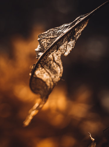 letztes Licht