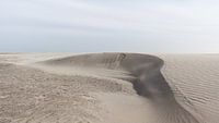 Sanddüne im Entstehen begriffen