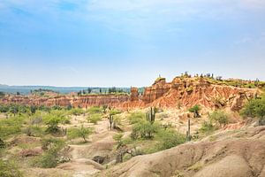 View over the Tatacao desert in Colombia von Michiel Ton