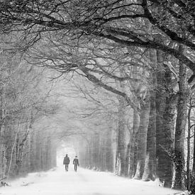 Wandelen in de sneeuwstorm van Chris Biesheuvel I  Dream Scapes