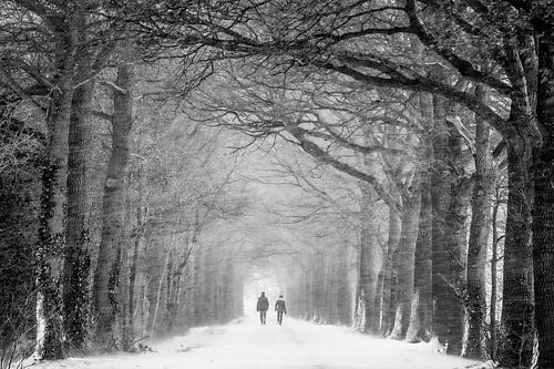 Wandelen in de sneeuwstorm