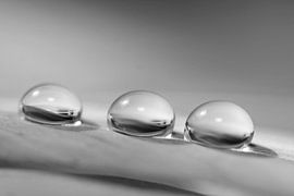 Jours de pluie sur Carla Mesken-Dijkhoff