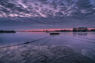 Vulture ferries at Eck en Wiel by Moetwil en van Dijk - Fotografie thumbnail