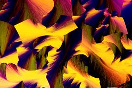 Movicol von André Wieringa