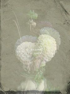 I Brought Flowers