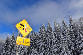 Die Straße im Winter