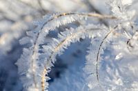wunderbare Welt aus Schnee und Eis