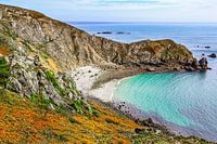 Cliff jewel: the nose of Jobourg