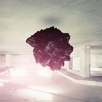 Amazrd - surreal