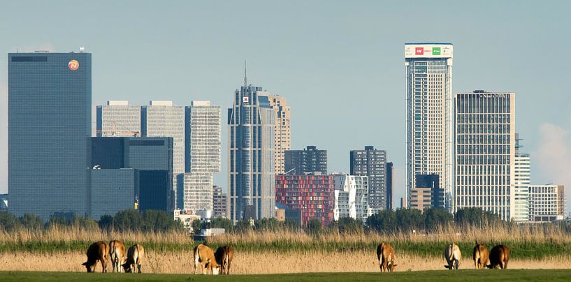 Die andere Skyline von Rotterdam von Ton van Buuren