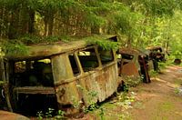 Old cars at a junkyard in a forest