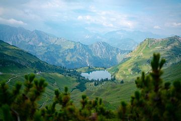 Uitzicht vanaf de Zeigersattel op de Seealpsee in Allgäu van Leo Schindzielorz