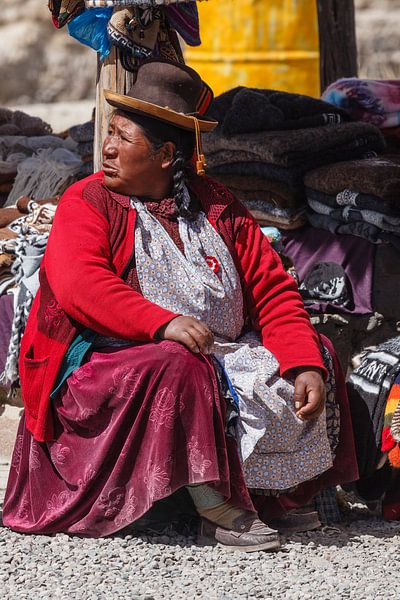 Indiaanse markthandel langs de weg in Peru bij Arequipa van Martin Stevens
