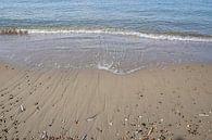 Shells and waves on the beach Brouwersdam by Ingrid Bergmann  Fotografie thumbnail