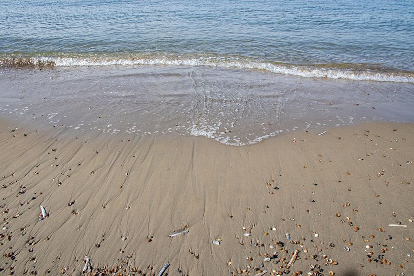 Shells and waves on the beach Brouwersdam by Ingrid Bergmann  Fotografie