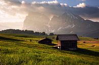 Een gouden ochtend op de Alpe di Siusi van Daniel Gastager thumbnail