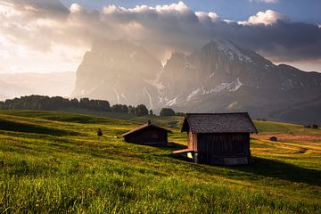 Een gouden ochtend op de Alpe di Siusi van Daniel Gastager