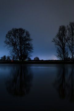 Trees by night by Robert van Grinsven