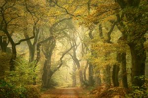 Herbst-Paradies