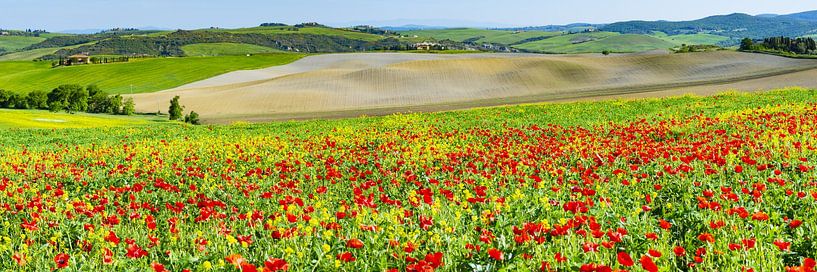Val d`Orica in Toscane van Walter G. Allgöwer