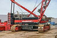 Liebherr LR 1160 from Mammoet. by Jaap van den Berg thumbnail
