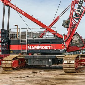 Liebherr LR 1160 van Mammoet. van Jaap van den Berg