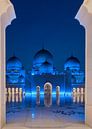 Sheikh Zayed Grand Mosque van Bart Hendrix thumbnail