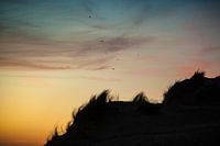 Duinen
