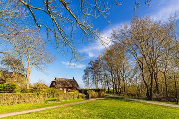 Historisch huis in Kloster op het eiland Hiddensee van Rico Ködder