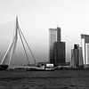 Rotterdam Skyline III van Walljar