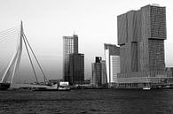 Rotterdam Skyline III by Walljar thumbnail