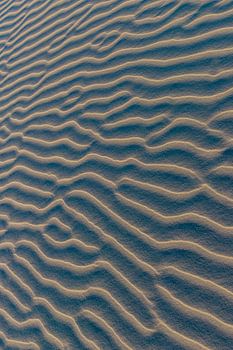 Schiermonnikoog - Sand patterns in the golden evening sun