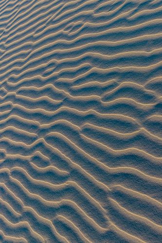 Schiermonnikoog - Sand patterns in the golden evening sun