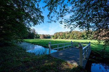 Elswout Estate by Peter Bartelings