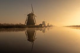 Foggy Kinderdijk by Michael Brand