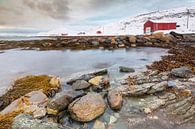 Huizen aan Noorse kust van Sander Meertins thumbnail