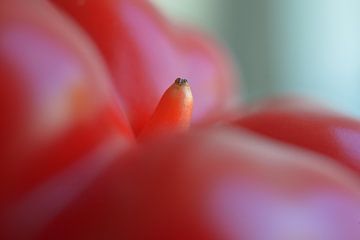 paprika van Georges Hoeberechts