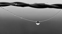 Drops...collier