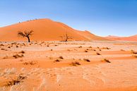 Landschap Namibie, Afrika, Sossusvlie, Woestijn, Kleur, Oranje van Liesbeth Govers voor omdewest.com thumbnail