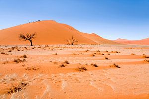 Landscape Namibia, Africa, Sossusvlie, Desert, Colour, Orange