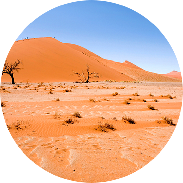 Landschap Namibie, Afrika, Sossusvlie, Woestijn, Kleur, Oranje van Liesbeth Govers voor Santmedia.nl