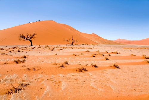 Landschap Namibie, Afrika, Sossusvlie, Woestijn, Kleur, Oranje