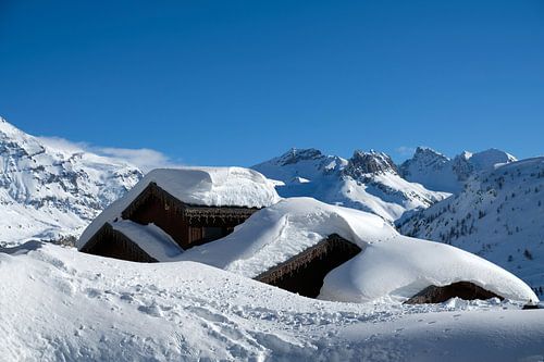 Houses hidden under a thick layer of snow