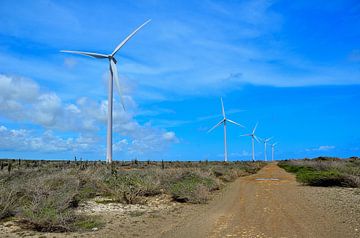 Wind turbines in Curaçao by Karel Frielink