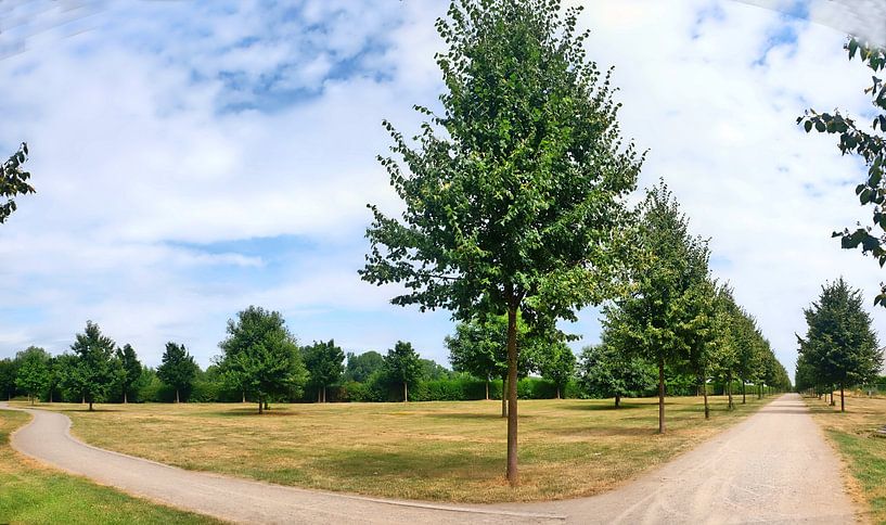 Wegpanorama van Edgar Schermaul