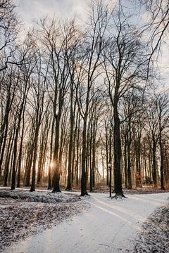 natuur in de winter van Chantal Osnabrugge
