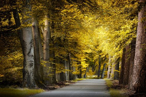 What Happens Tomorrow