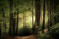 Bois clair (forêt d'été hollandaise) par Kees van Dongen Aperçu