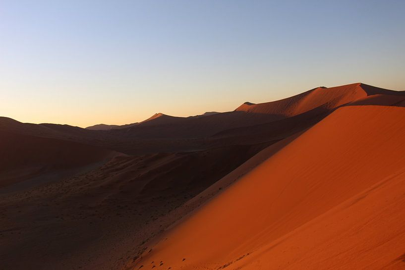 Dune45 by Regina Bouius